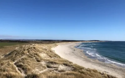 Weekendpakke på Jæren